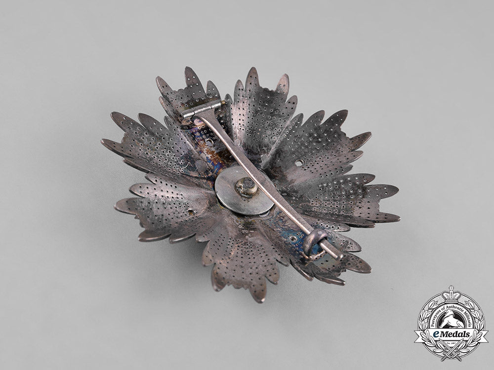 vatican,_state._an_advocate_order_of_st._peter,_ii_class_star,_c.1900_m182_6140