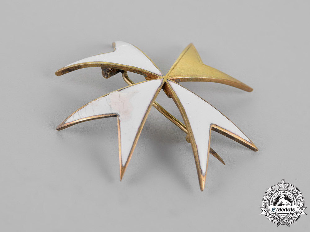 austria._empire._an_order_of_the_knight’s_of_malta,_donat_of_justice_m18_5268