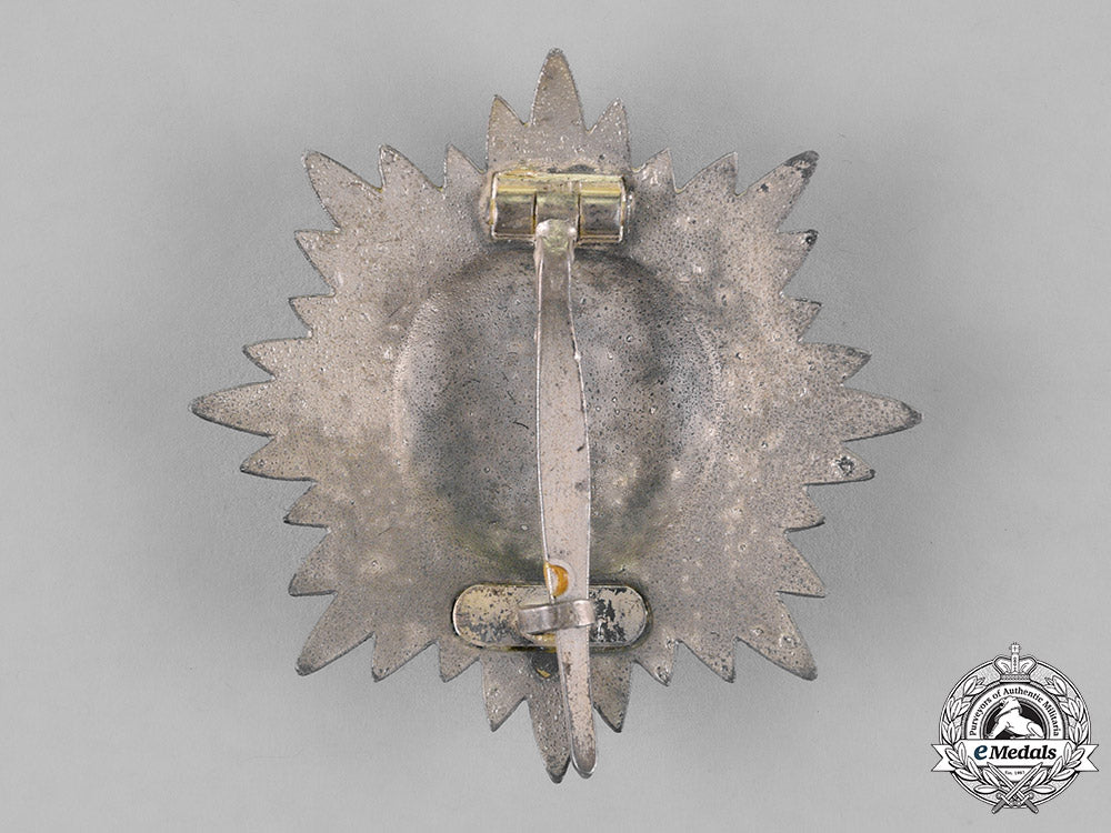 germany._an_eastern_people’s_bravery_decoration,_first_class_silver_grade,_by_r._wächtler&_lange_m18_5599