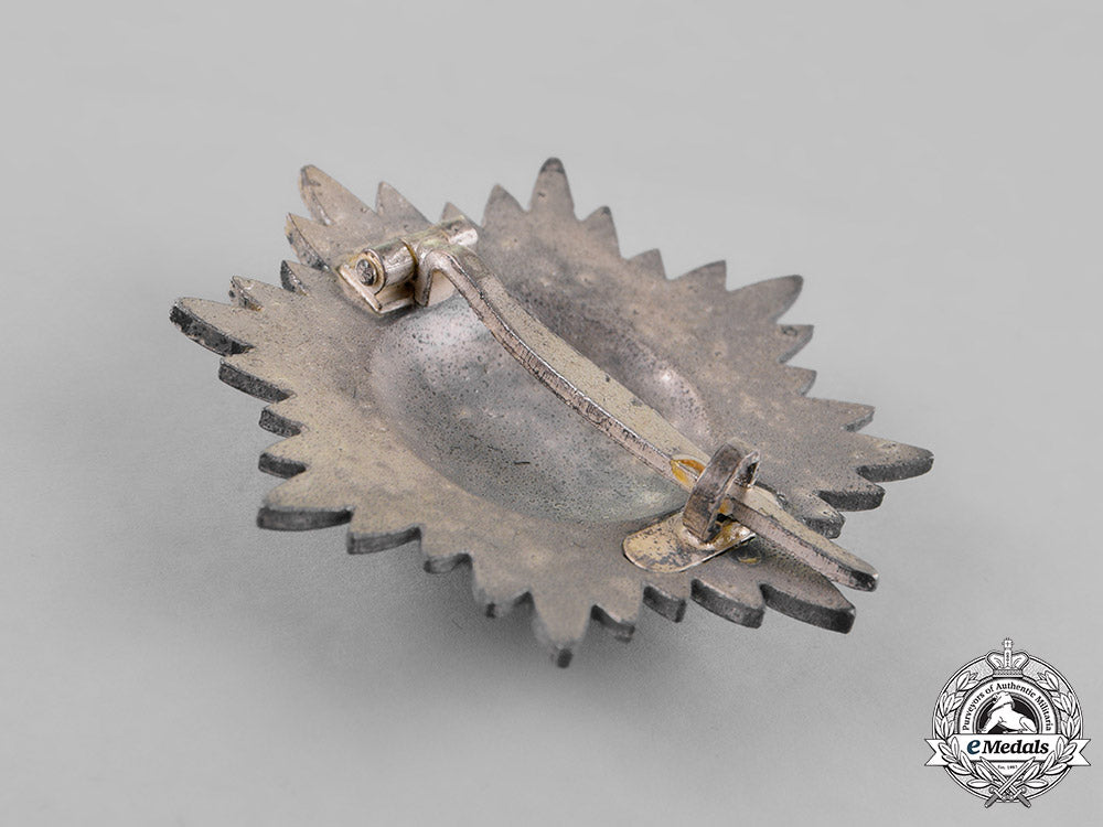 germany._an_eastern_people’s_bravery_decoration,_first_class_silver_grade,_by_r._wächtler&_lange_m18_5601