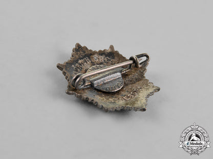 germany._an_rlb(_air_raid_protection)_membership_badge,_by_h._aurich_m18_5673