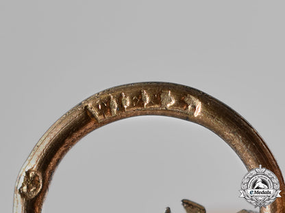 austria,_empire._an_order_of_franz_joseph,_knight’s_cross,_by_wilhelm_kunz,_c.1917_m18_6655