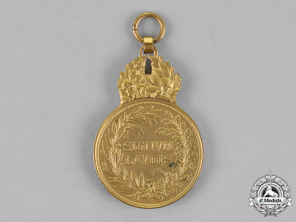 austria,_empire._two_imperial_medals_m18_6896_1_1_1