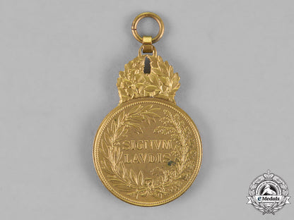 austria,_empire._two_imperial_medals_m18_6896_1_1_1