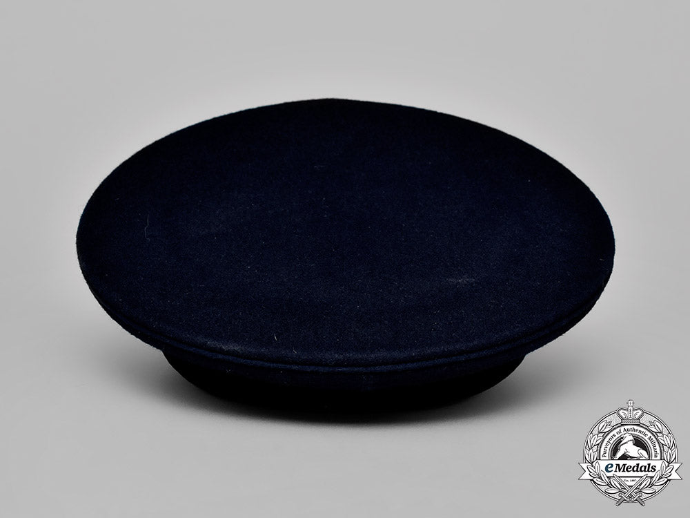 france,_republic._a_free_french_air_force_officer's_visor_cap&_wing_m18_7506