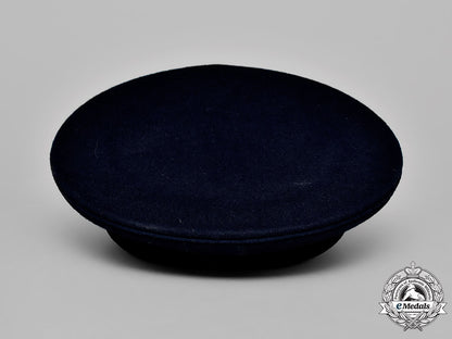 france,_republic._a_free_french_air_force_officer's_visor_cap&_wing_m18_7506