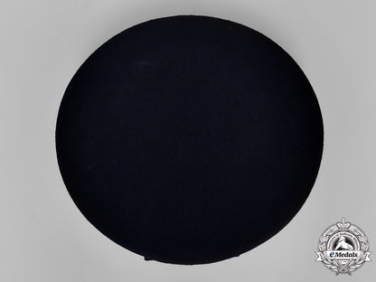 france,_republic._a_free_french_air_force_officer's_visor_cap&_wing_m18_7509