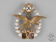 Austria, Imperial. A Pilot/Radio Operator Badge, Karl I. C.1918