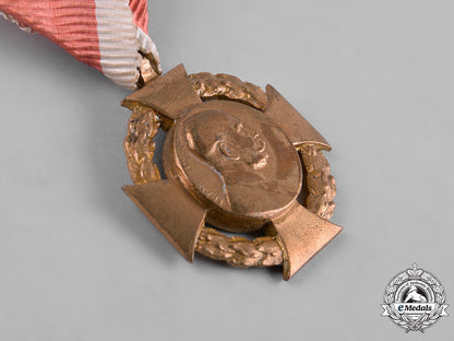 austria,_imperial._a_lot_of_commemorative_medals&_awards_m19_0707