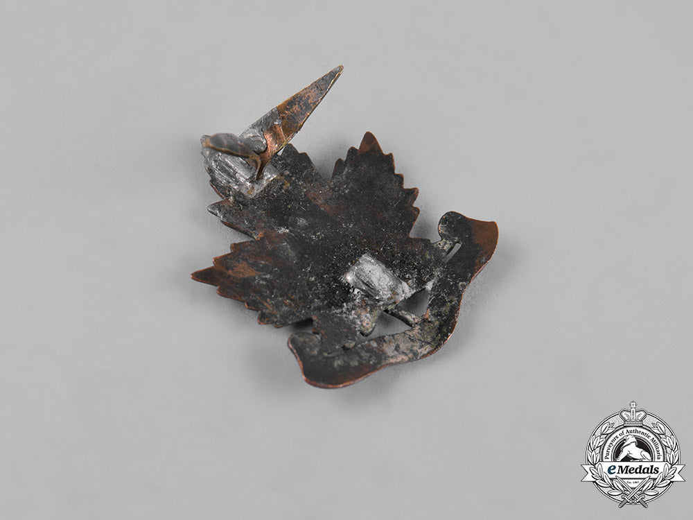 canada._six_first_war_cap_badges&_collar_tabs_m19_11021