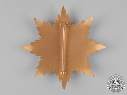 germany,_imperial._a_star_to_the_grand_cross_of_the_iron_cross,_museum_example_m19_11655