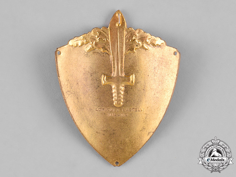 italy,_kingdom._a14_th_infantry_division_isonzo_sleeve_shield_m19_1260
