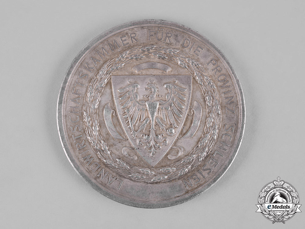 germany,_imperial._a_silesian_agricultural_association_merit_medal_m19_12630