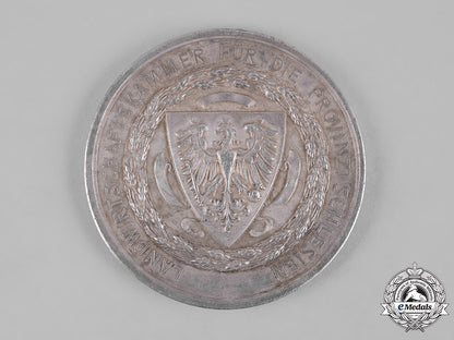 germany,_imperial._a_silesian_agricultural_association_merit_medal_m19_12630