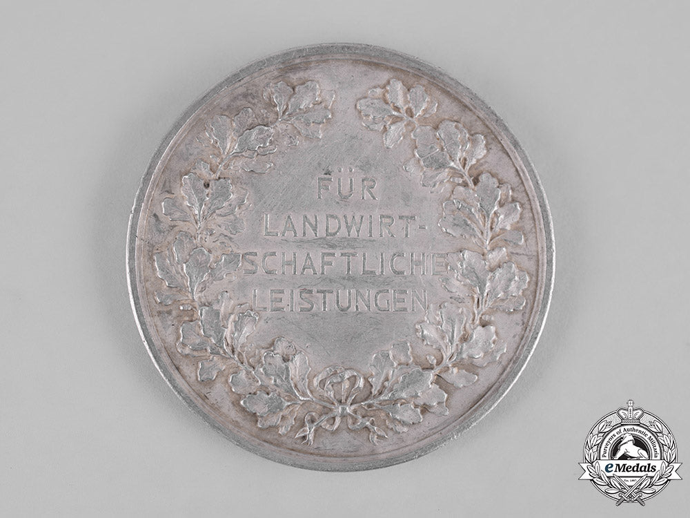 germany,_imperial._a_silesian_agricultural_association_merit_medal_m19_12631