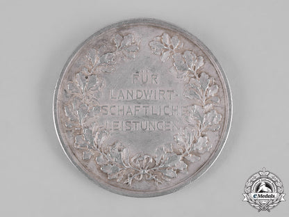 germany,_imperial._a_silesian_agricultural_association_merit_medal_m19_12631