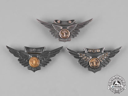 united_states._a_lot_of_united_states_navy_combat_air_crew_badge_m19_12787