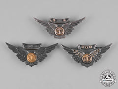 United States. A Lot Of United States Navy Combat Air Crew Badge