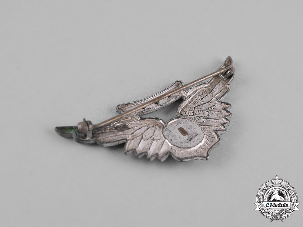 united_states._a_lot_of_united_states_navy_combat_air_crew_badge_m19_12789