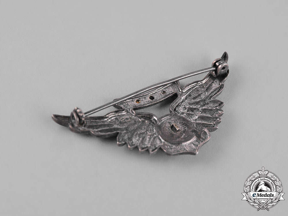 united_states._a_lot_of_united_states_navy_combat_air_crew_badge_m19_12790