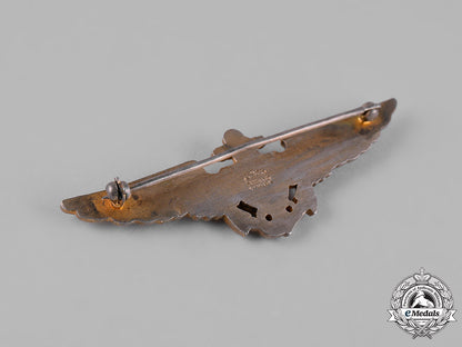 united_states._a_united_states_navy_and_marines_aviator_badge_by_amico_m19_12796