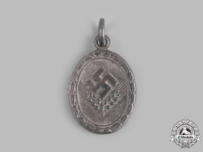 germany,_third_reich._a_reich_labour_service_of_young_women(_radwj)_medal_for18_years'_service,_silver_grade,_miniature_m19_13255