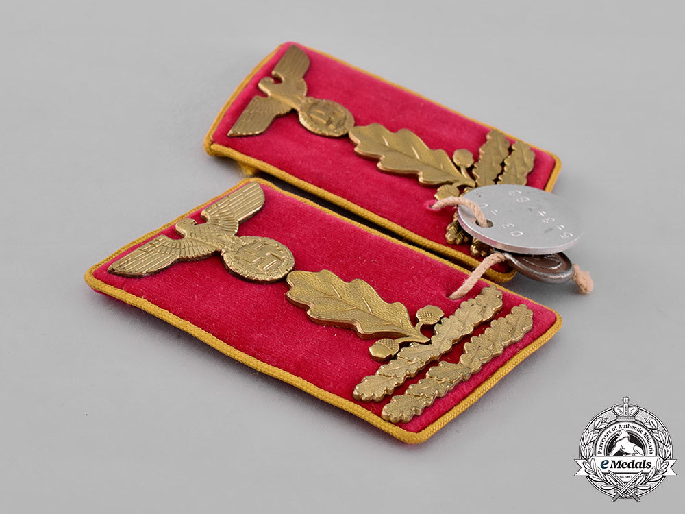 germany,_nsdap._a_pair_of_reichs-_level_hauptabschnittsleiter_collar_tabs_m19_1340