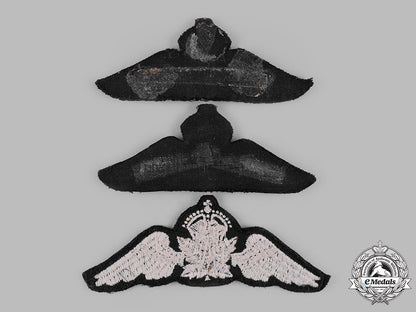 canada._three_royal_canadian_air_force(_rcaf)_prototype_badges,_c.1950_m19_13410