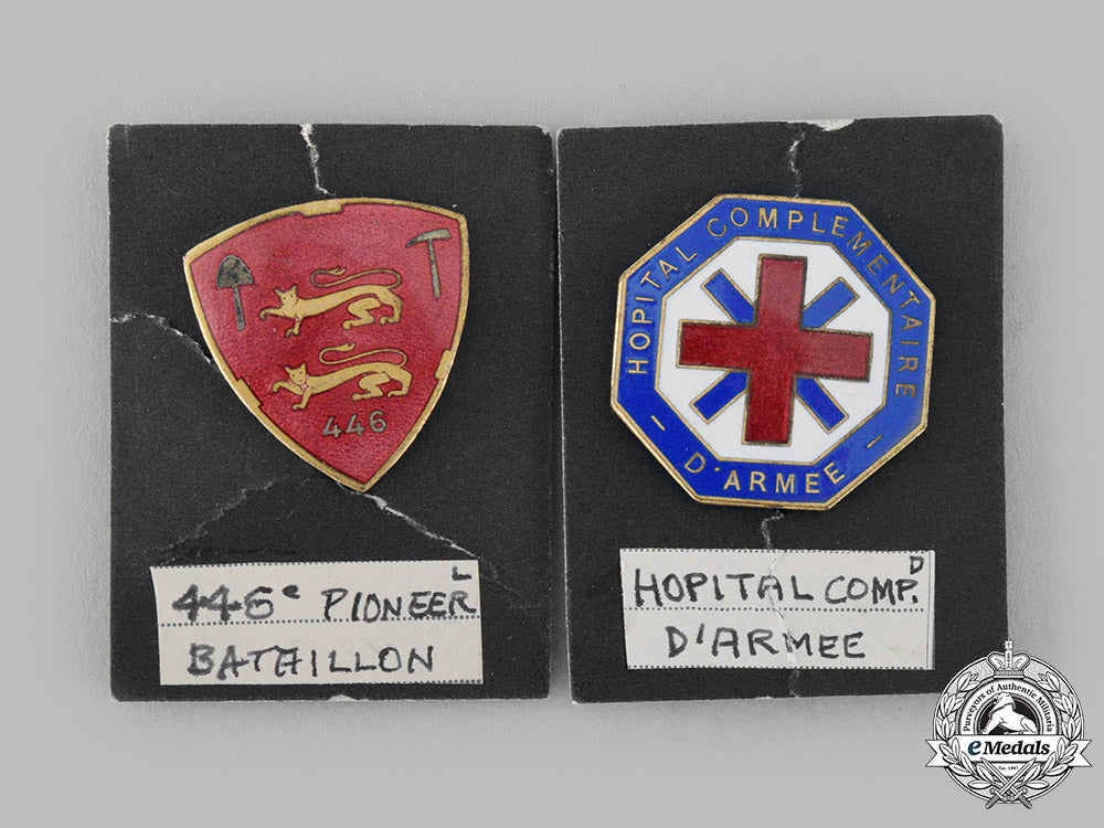 france,_republic._a_lot_of_sixteen_regimental_badges_m19_13827_1