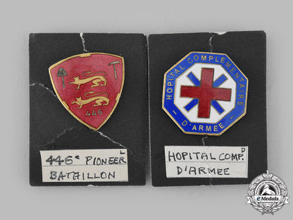 france,_republic._a_lot_of_sixteen_regimental_badges_m19_13827_1