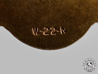 united_states._a_naval_and_coast_guard_aircrew_badge,_by_wolf-_brown,_c.1950_m19_14452