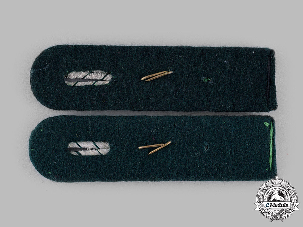 germany,_reichsfinanzverwaltung._a_set_of_reichsfinanzverwaltung(_customs_service)_zollbetriebsassistent_shoulder_boards_m19_14593