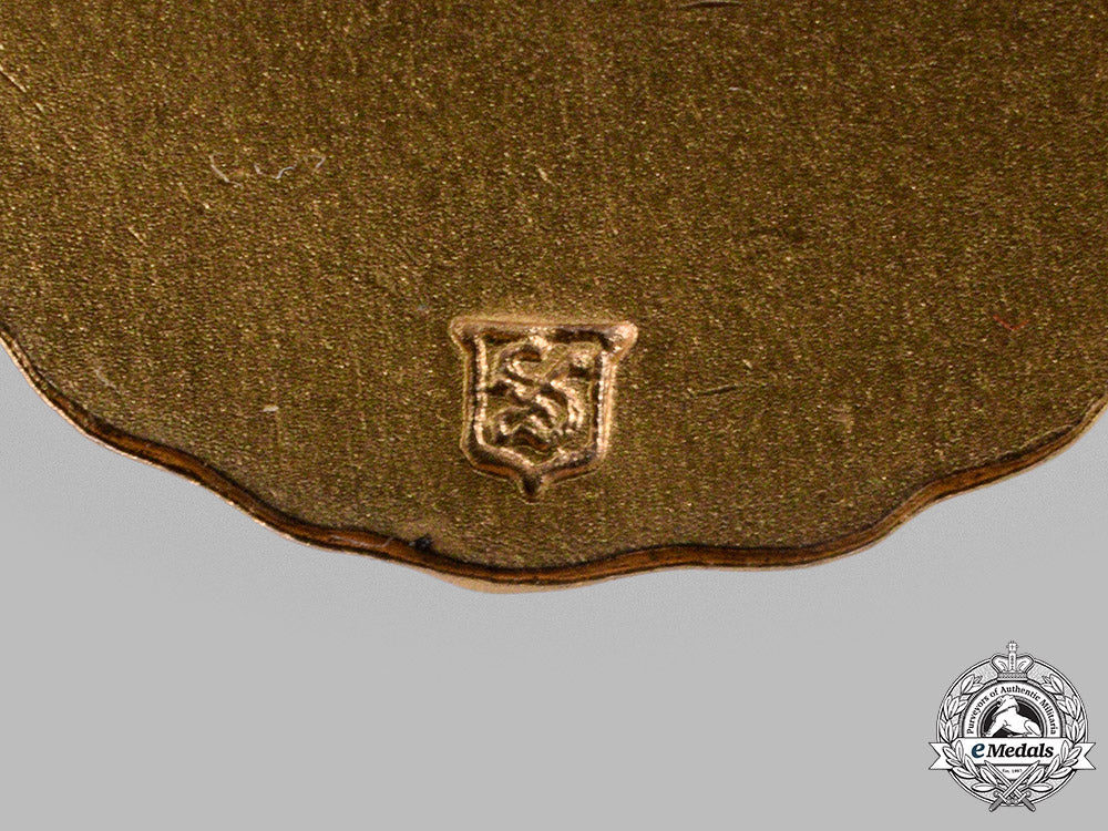 united_states._a_somerset_chapter_of_the_magna_charta_barons_miniature_medal_m19_15168