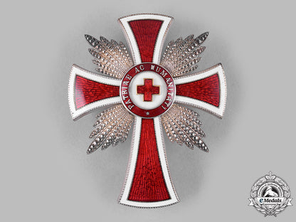 austria,_imperial._an_honour_decoration_of_the_red_cross,_merit_star(_rothe_copy)_m19_16071_1