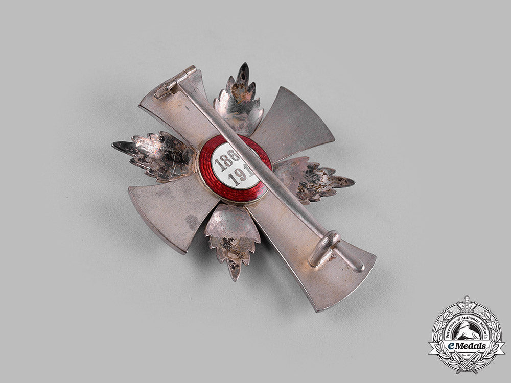austria,_imperial._an_honour_decoration_of_the_red_cross,_merit_star(_rothe_copy)_m19_16075_1