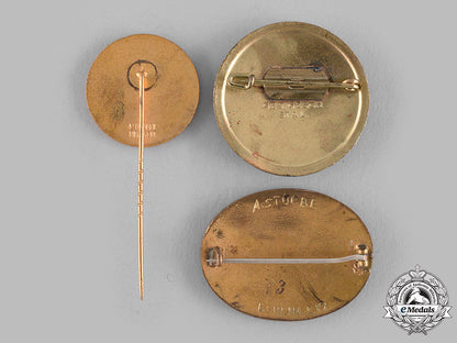 germany,_weimar_republic._a_lot_of_german_red_cross(_drk)_membership_badges_m19_16184