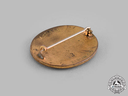 germany,_weimar_republic._a_lot_of_german_red_cross(_drk)_membership_badges_m19_16187