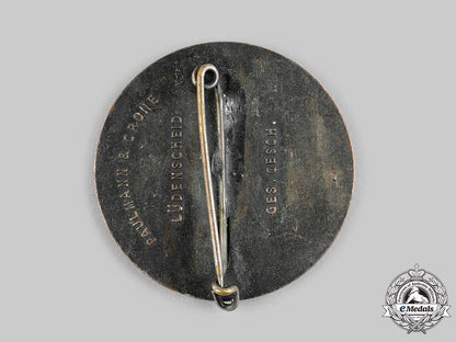 germany,_third_reich._a1933/1934_winterhilfswerk_donor_gratitude_badge_by_paulmann&_crone_m19_17183