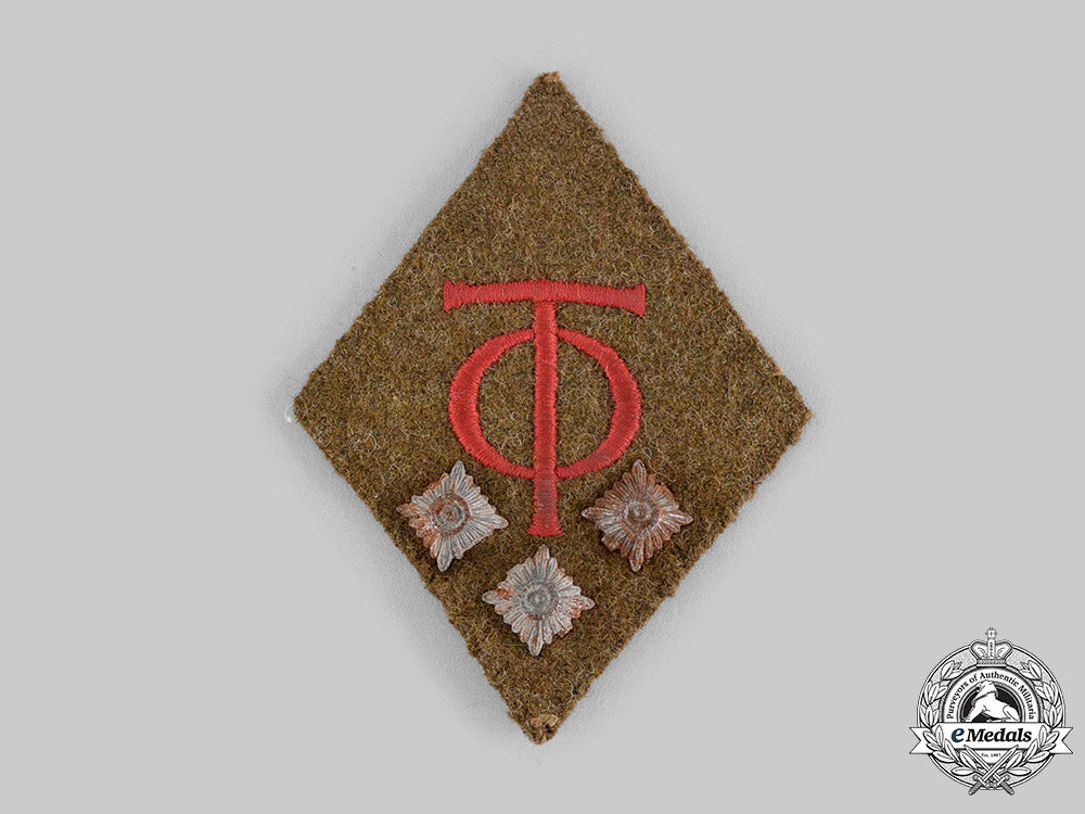 germany,_third_reich._an_organisation_todt_haupttruppführer_collar_tab_m19_17244_1