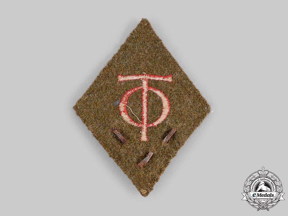 germany,_third_reich._an_organisation_todt_haupttruppführer_collar_tab_m19_17245_1