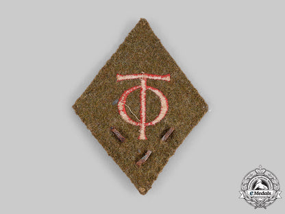 germany,_third_reich._an_organisation_todt_haupttruppführer_collar_tab_m19_17245_1