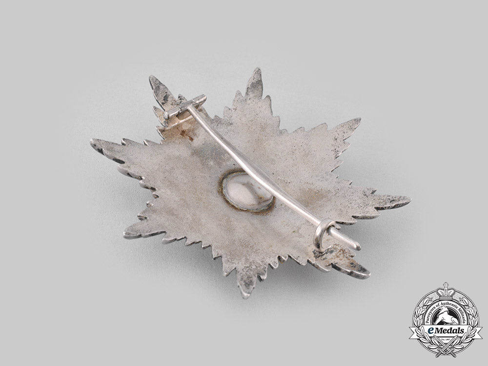 schwarzburg-_sonderhausen,_principality._a_schwarzburg_dutchy_honour_cross,_breast_star(_collectors_copy)_m19_17545