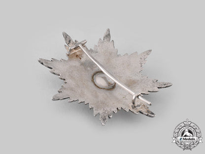 schwarzburg-_sonderhausen,_principality._a_schwarzburg_dutchy_honour_cross,_breast_star(_collectors_copy)_m19_17545