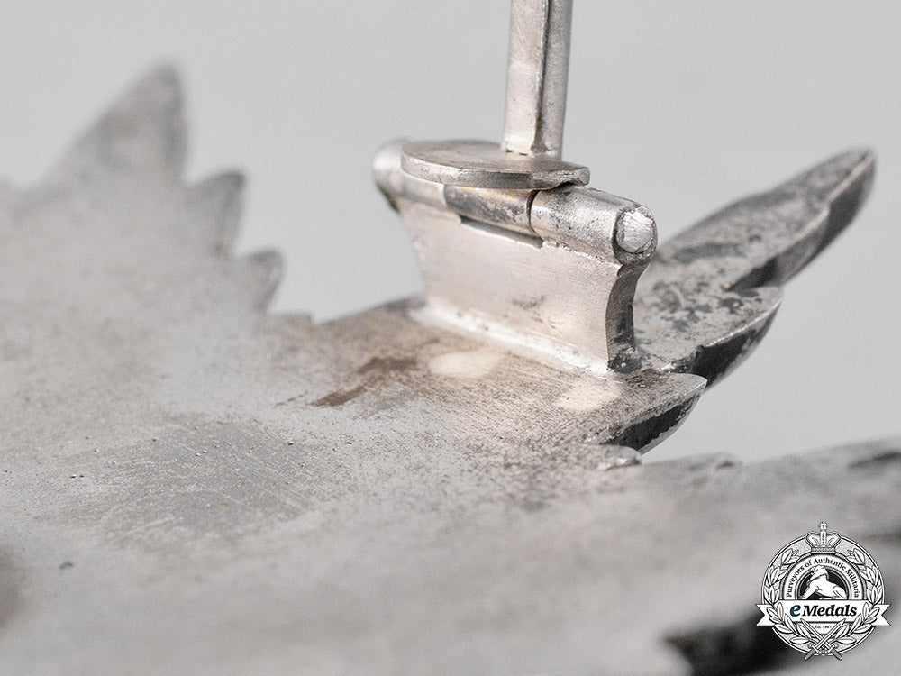 schwarzburg-_sonderhausen,_principality._a_schwarzburg_dutchy_honour_cross,_breast_star(_collectors_copy)_m19_17547