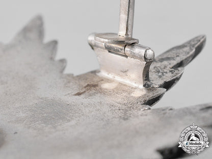 schwarzburg-_sonderhausen,_principality._a_schwarzburg_dutchy_honour_cross,_breast_star(_collectors_copy)_m19_17547