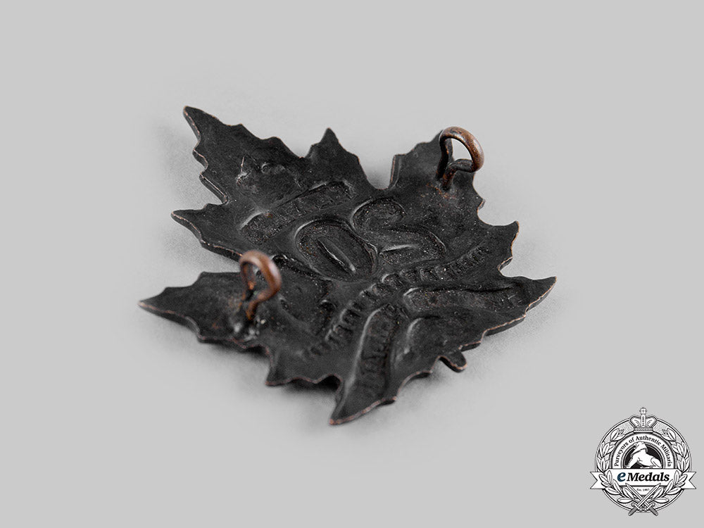 canada,_cef._a204_th_infantry_battalion"_toronto_beavers"_cap_badge,_c.1916_m19_18660_1_1