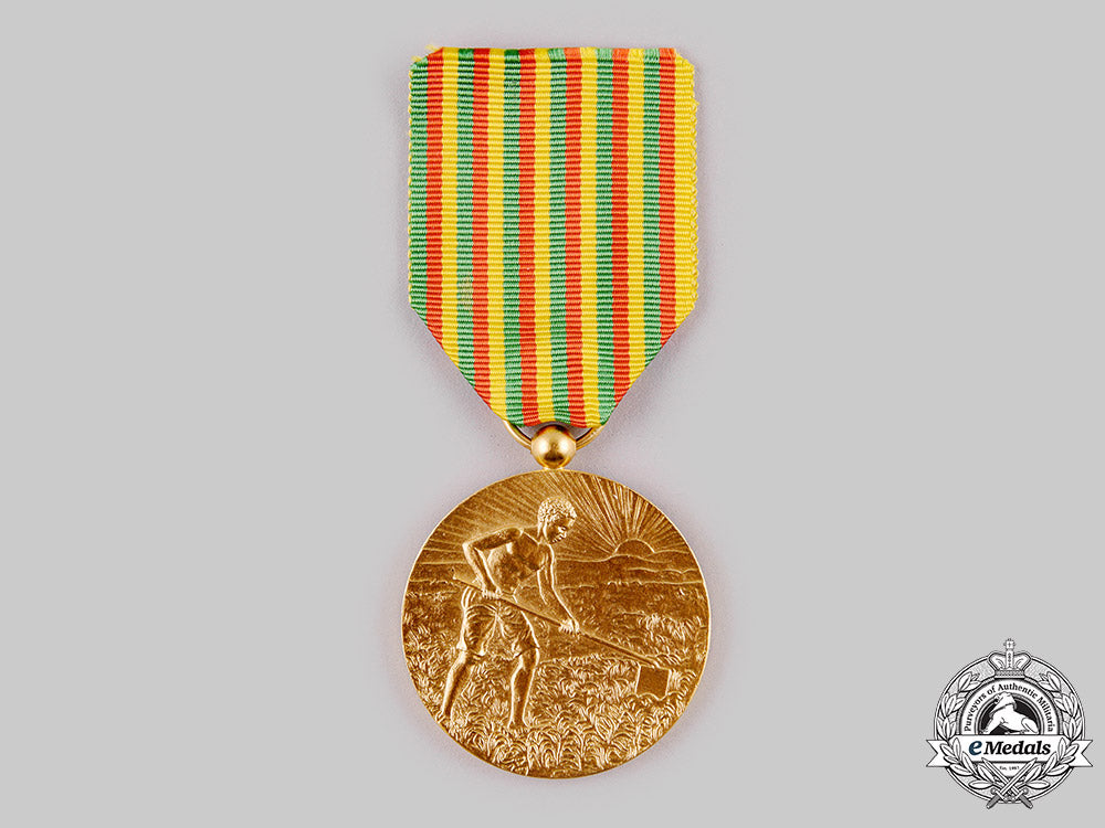 cameroon,_republic._a_medal_of_merit,_i_class_m19_18997