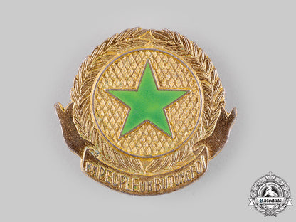 senegal,_republic._an_army_beret_badge_m19_19015