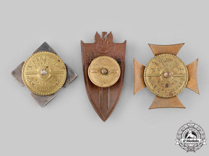 poland,_people's_republic._three_post-1945_manufactured_regimental_badges_m19_20237