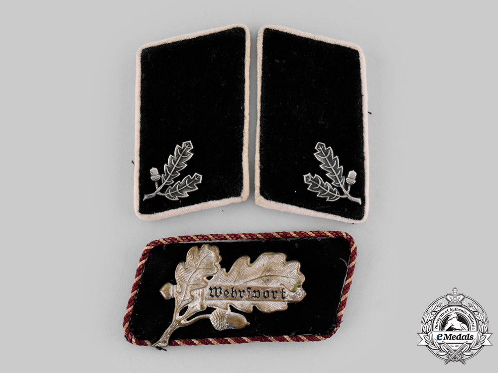 germany,_der_stahlhelm._a_lot_of_der_stahlhelm_collar_tabs_m19_22555